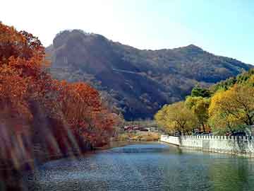 新澳天天开奖资料大全旅游团，山西煤价